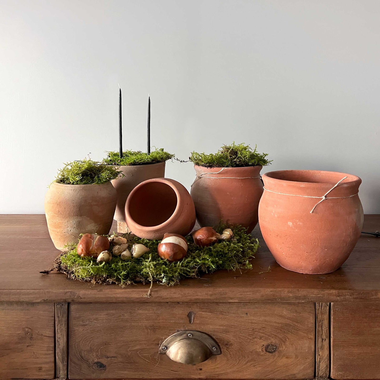 A photo of a five terracotta colour plant pots decorated with moss, flower bulbs and black taper candlesfor the House McGrath Luxury Gift List