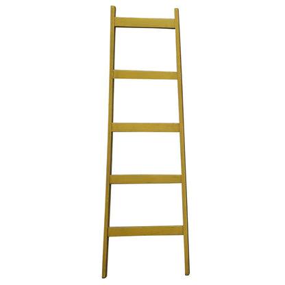 Painted Decorative Ladders