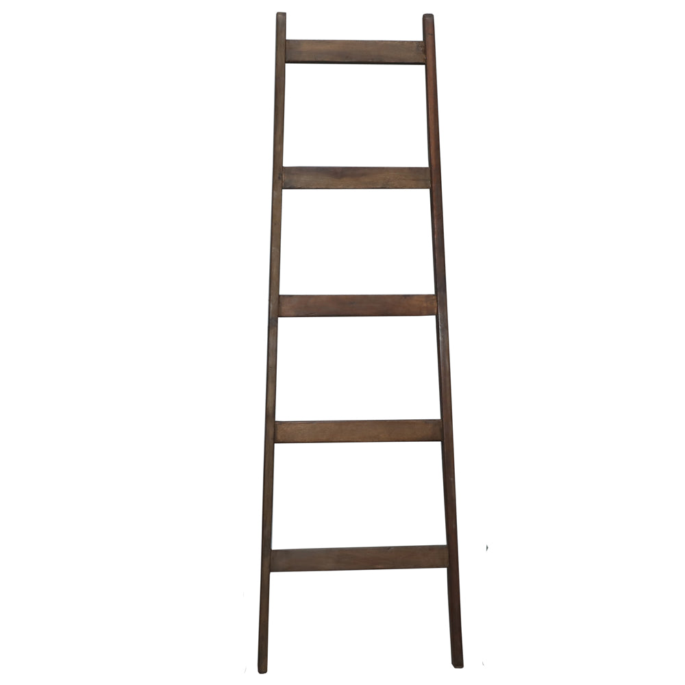 Painted Decorative Ladders